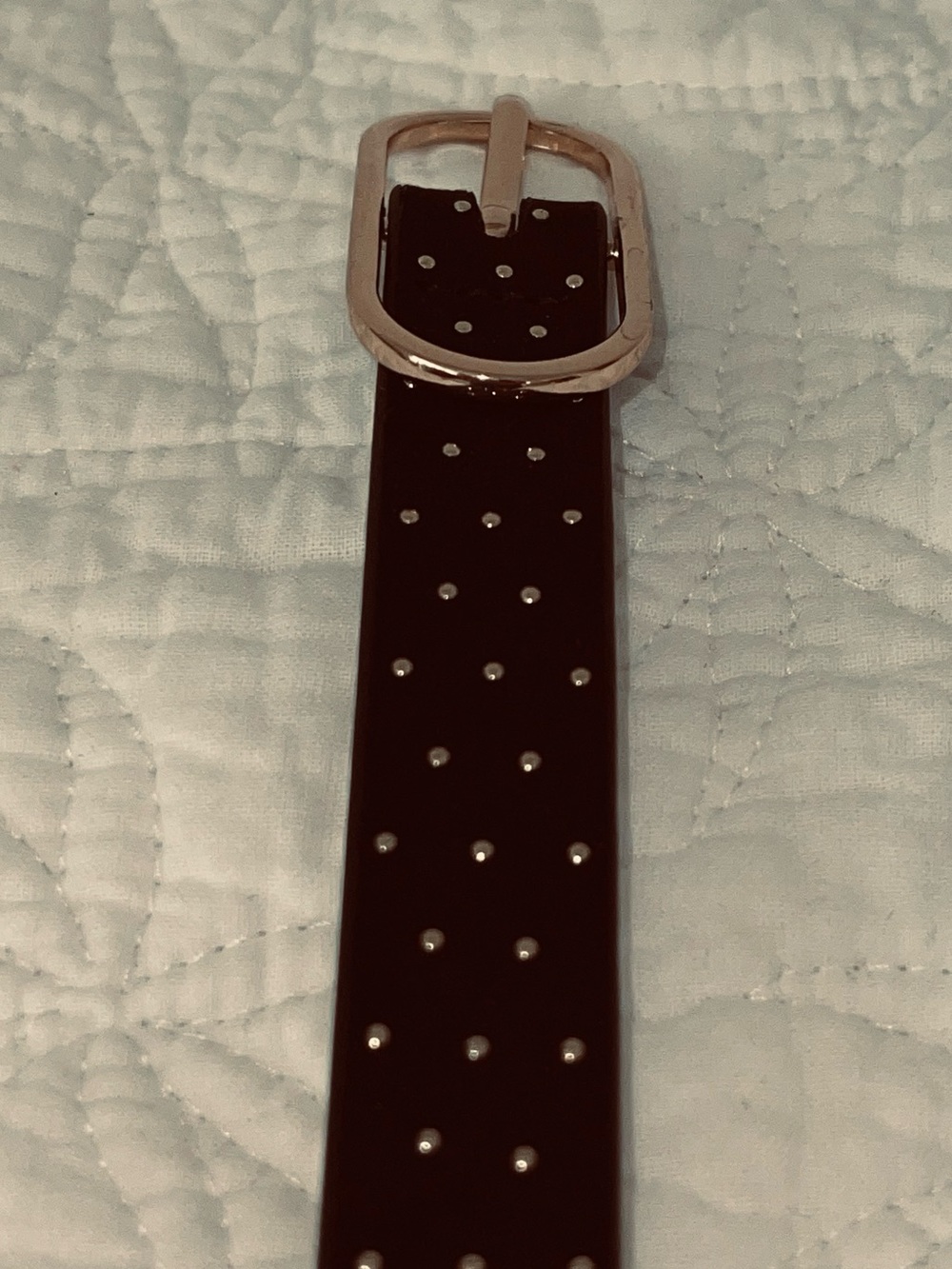 Thin LOFT Gold Studded Belt with Gold Oval Buckle - Women’s M - NWOT